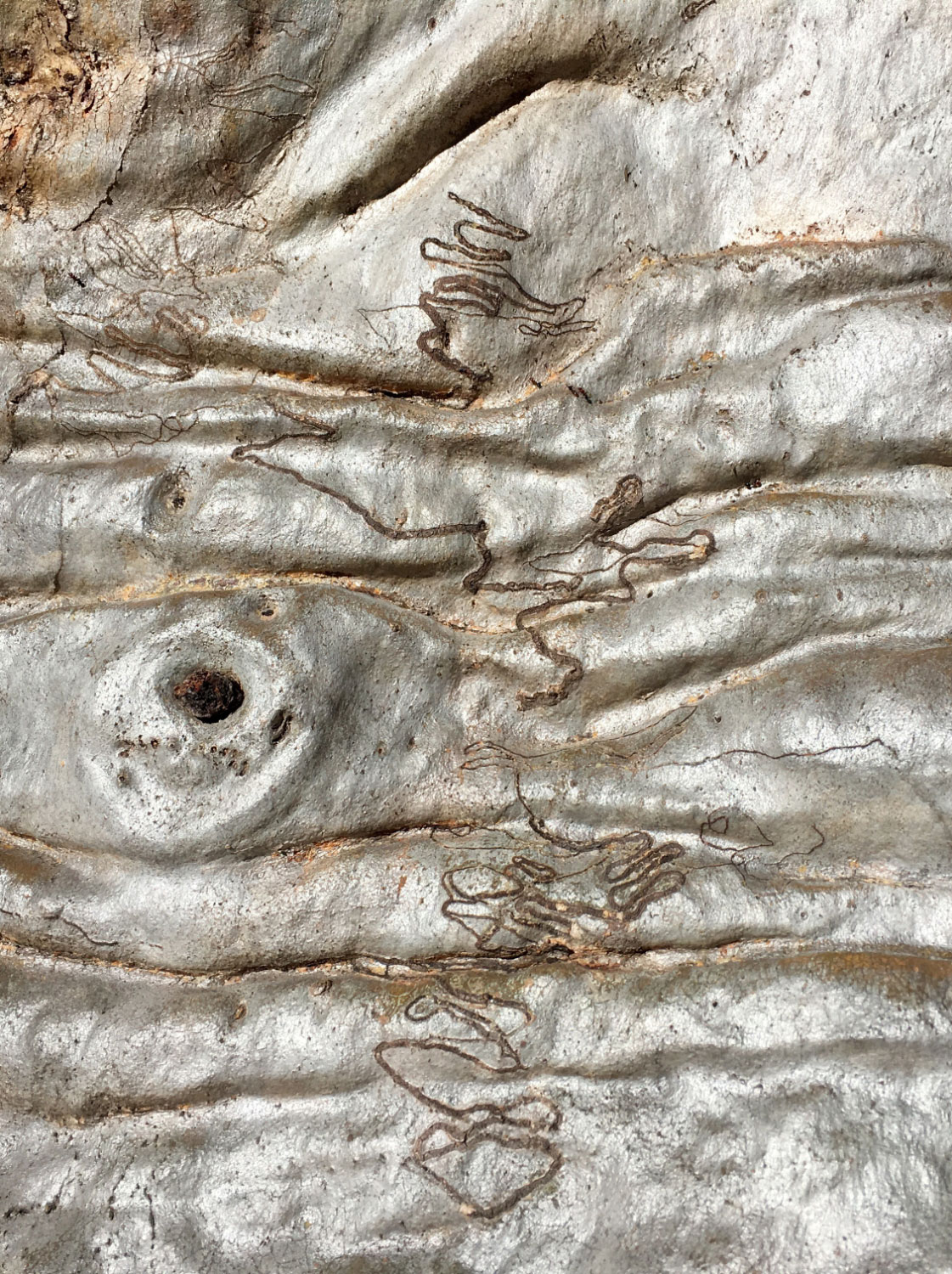 neva-collings-legal-services-northern-beaches